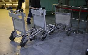 Роботы начнут обслуживать багаж в петербургском аэропорту Пулково