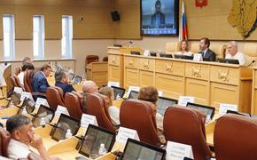 Развитие системы ухода за пожилыми и инвалидами обсудили законодатели Приангарья