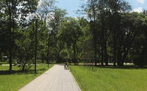За предпоследнюю неделю июня свыше 1,1 тысяч петербуржцев пожаловались на клещей