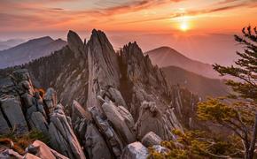 Спор между порядком и вольницей