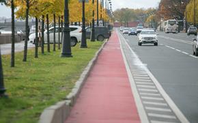 Урбанист Воронин предложил строить ежегодно 30 км велодорожек в Петербурге