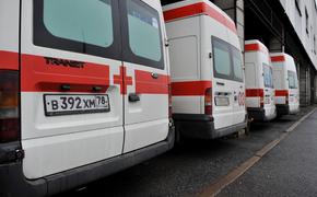 Одну из пострадавших от падения деревьев в Петербурге госпитализировали