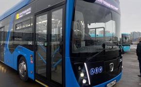Петербургский электротранспорт снизил число аварий 