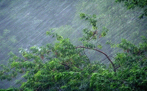 На Хабаровский край надвигаются ливни и шквалы