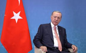Эрдоган назвал год проведения президентских и парламентских выборов в Турции