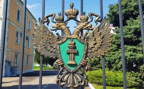 Суд Сочи вынес приговор председателю СНТ за мошенничество с земельным участком