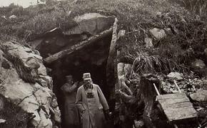 Неизвестные подробности битвы под Прохоровкой в 1943 году