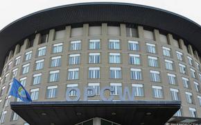 Россия доказала, что ВСУ использовали химоружие. Но в ОЗХО на это закрывают глаза