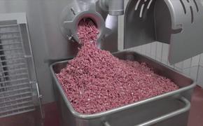 В Хабаровске нашли сальмонеллу в мясе