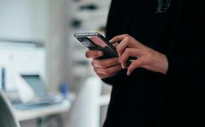 В России обосновывают запрет звонков через «WhatsApp»* или его возможную блокировку
