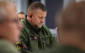 Эксперт Марков: глобалистские элиты готовят Залужного на пост президента Украины