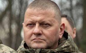СВР: американцы и британцы сообщили о решении выдвинуть Залужного на пост президента Украины