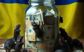 США требуют от Зеленского сдать подельников