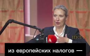 В Германии задумались о выходе из Евросоюза