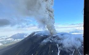 На Камчатке началось первое извержение вулкана Крашенинникова за всю историю наблюдений
