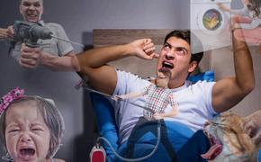 Смогут ли оштрафовать за вечернюю уборку дома и мяуканье кошек?