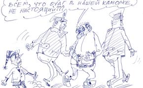  Не вели казнить, вели слово молвить?