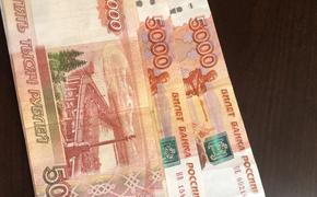 В Госдуме предложили увеличить маткапитал за первого ребенка до миллиона рублей