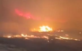 В США никак не справятся с рекордными за всю историю пожарами