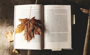 В России люди стали чаще покупать книги