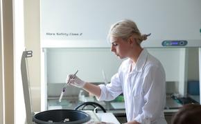 В КубГМУ разрабатывают новый гидрогель для заживления тканей рта