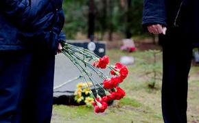 Павшие, но не забытые: почему память о героях СВО - наш вечный долг...