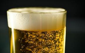 Россия и экономический ущерб от смертности, вызванной алкоголизацией