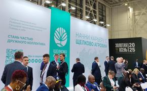 Как технологии меняют российское поле и кому это по силам