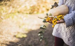 Последний аккорд осени, или Чего хотят ваши клумбы?