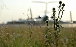 Рекламу Сбербанка проверяют на нарушение закона