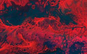 Хрущёв амнистией 1955 года перечеркнул антинационалистическую борьбу