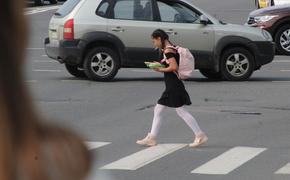 В Петербурге проверили дорожную инфраструктуру у школ