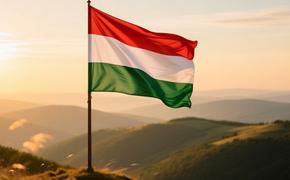 Накануне выборов Венгрия раскололась политически