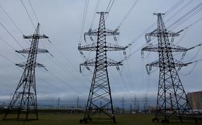 Энергетики смонтировали почти 700 устройств для защиты птиц на ЛЭП