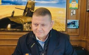 Залужный разместил в СМИ свою предвыборную статью