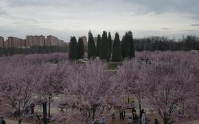 В Краснодаре пройдет Конференция «Актуальные вызовы в области права интеллектуальной собственности»