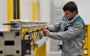 ИПП Петербурга вырос более чем на 5 процентов