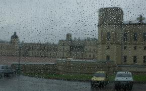 Останки Героя Советского Союза найдены в Ленобласти