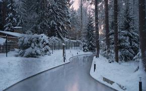 Цена аренды дома в Ленобласти на Новый год достигла 25 тысяч рублей