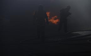 Сотрудники полиции потушили горящий автомобиль на трассе в Тосненском районе