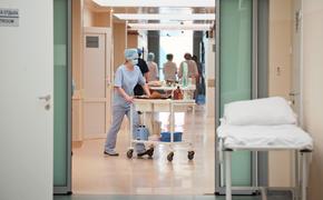 За неделю октября на территории Ленобласти родились 92 ребенка