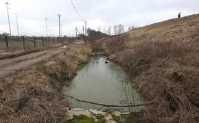 Во Всеволожском районе начали проверку предприятия из-за сброса стоков