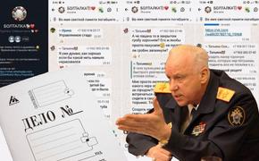 Быстрая реакция Александра Бастрыкина: на «зоозащитников», оскорбивших семью загрызенного бродячими собаками мальчика, завели уголовное дело