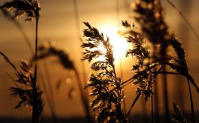 Астрономы прогнозируют увеличение солнечной активности в ноябре