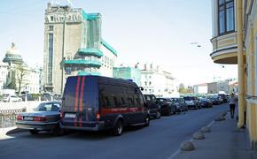 Бастрыкин взял на контроль ситуацию с бродячими собаками в Новом Девяткино