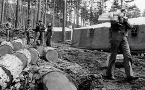 Комсомольцы – беспокойные сердца?