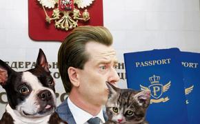 Сначала регистрация, потом налог?