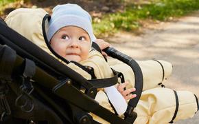 Демография по расчёту: почему россияне не хотят рожать