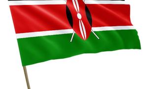 Президент Кении Руто попросил Зеленского об освобождении попавших в зону боевых действий на Украине кенийцев