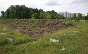 Петербургскому «Водоканалу» грозит штраф за загрязнение Муринского ручья